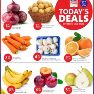 عروض سافاري-عرض اليوم