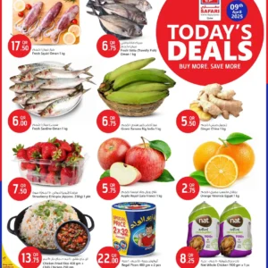 عروض سافاري-عروض اليوم الواحد